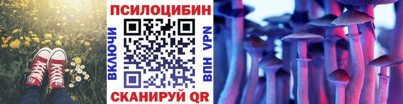 hydra зеркало  где купить наркотик  Николаевск-на-Амуре  Псилоцибиновые грибы мицелий 